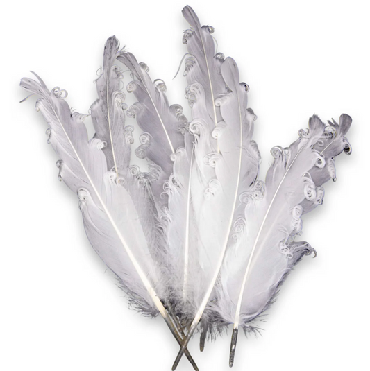 Smudging Feather - Goose